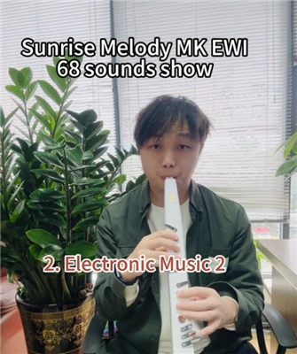 Sunrise Melody MK EWI elektron shamol asbobi 68 tovushlar shousi